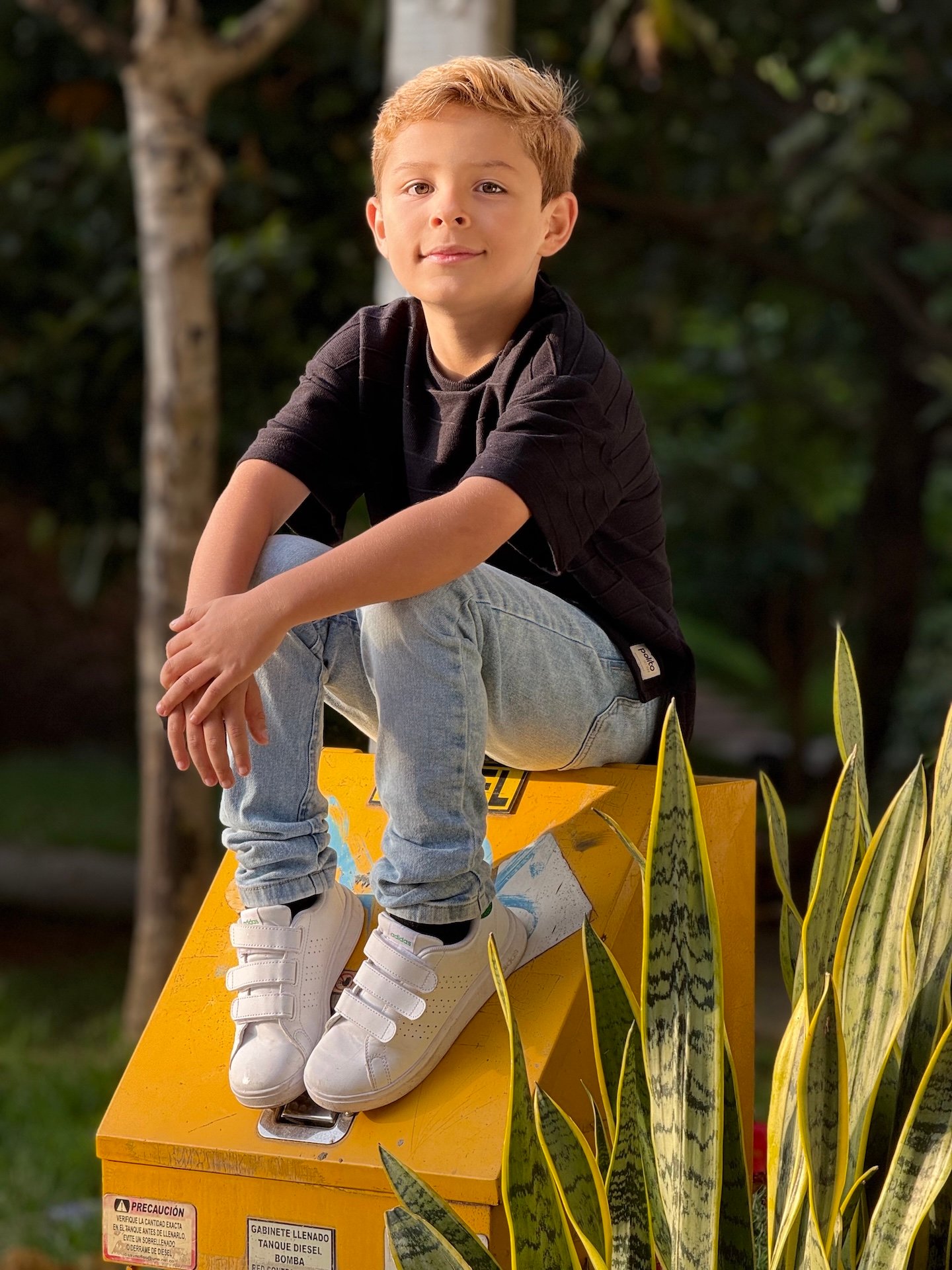 DYLAN AL